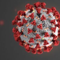 image of coronovirus viruses